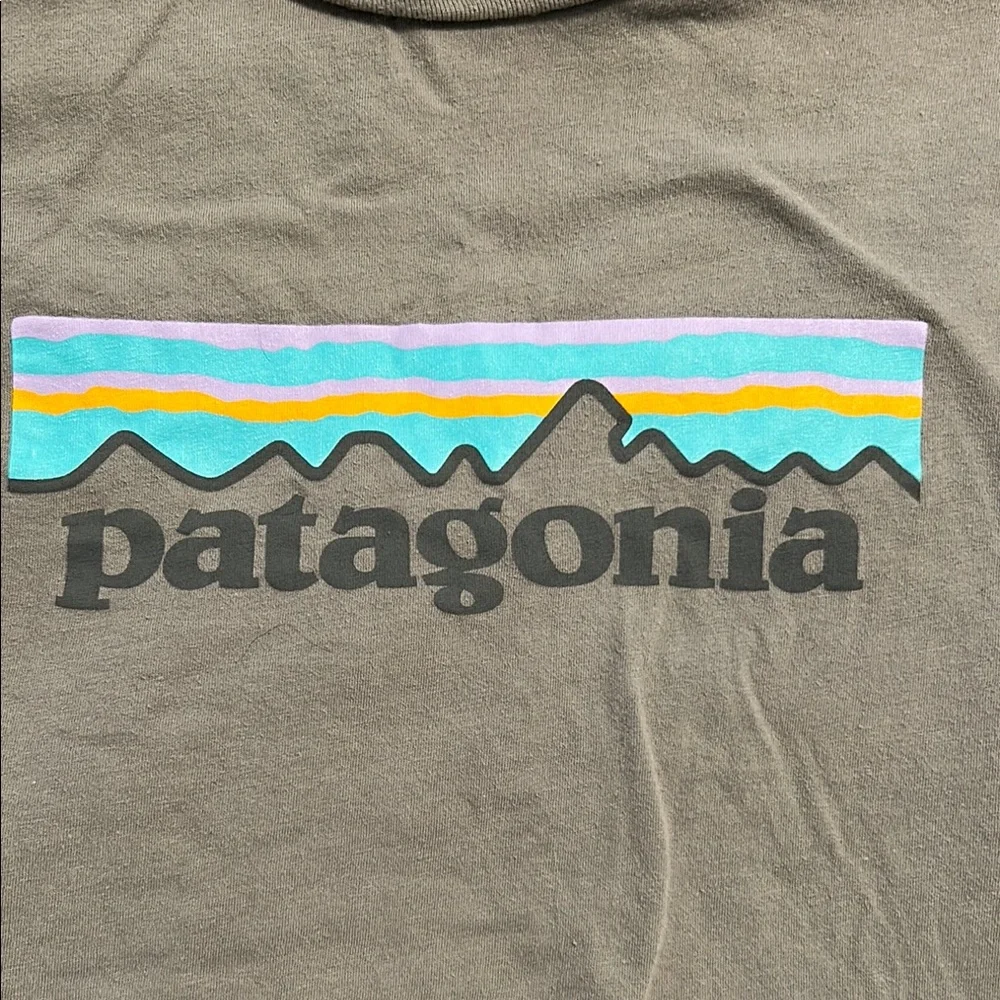 Women’s Patagonia Gray Graphic T-Shirt - Picture 3 of 4